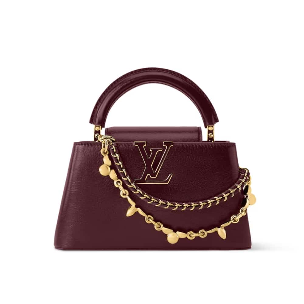 Louis Vuitton Capucines East West Mini Grenat Red 22Cm M25473